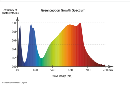 Greenception GC 4 LED 128W