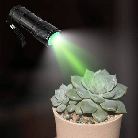 Specrtromaster Green LED Light