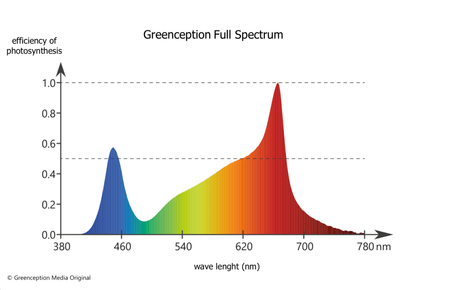 Greenception GC 16 LED 512W