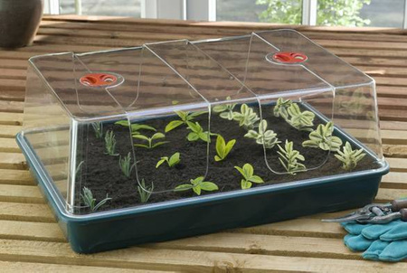 Propagator Kopułkowy XL 58x40,5x22,5cm Garland G155