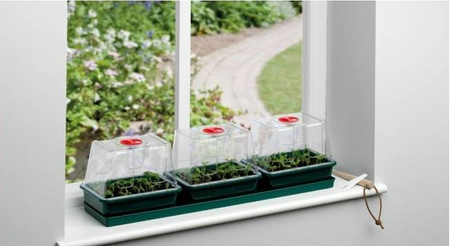 Garland Three Top Windowsill Propagator