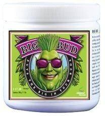 Advanced Nutrients Big Bud 500g proszek