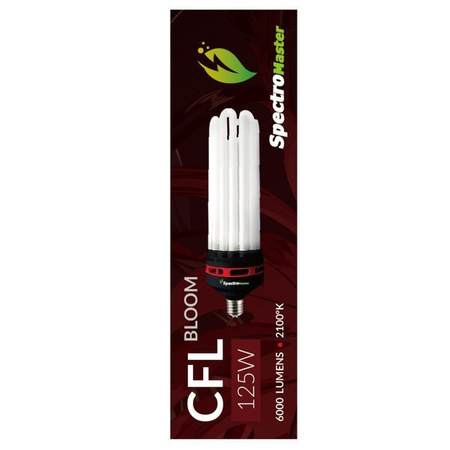 Spectromaster CFL 125W - 5U - 2100°K BLOOM