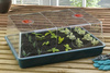 Propagator Kopułkowy XL 58x40,5x22,5cm Garland G155