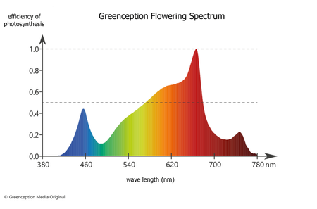 Greenception GC Bar 8 LED 560W