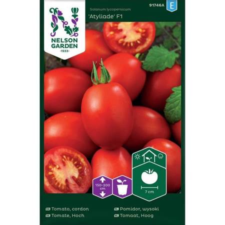 Plum tomato Atyliade F1